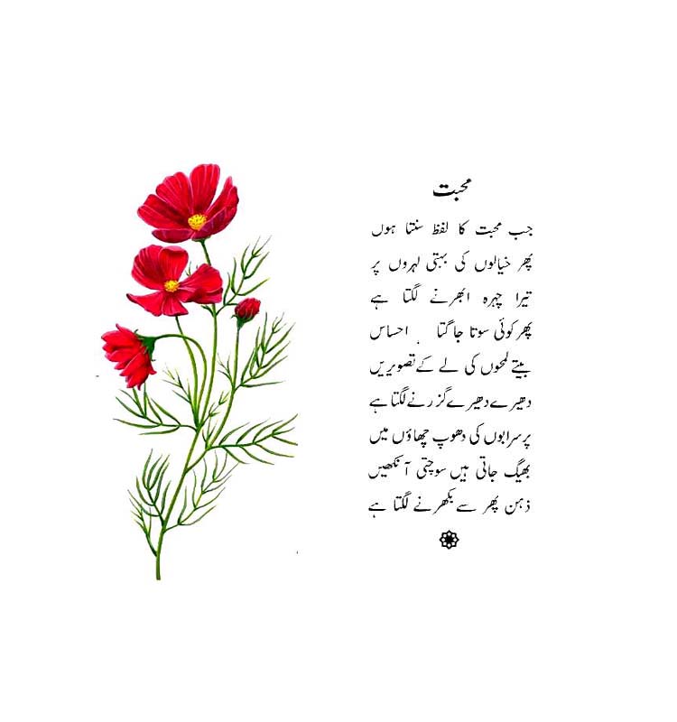 Urdu Poetry Book - Kachi Neend Say Jagi Rut - by Abdul Qadir Qadri