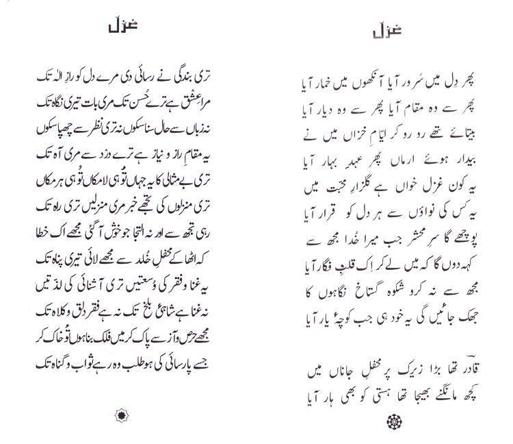 Urdu Poetry Book - Nakhl-e-Toor - by Abdul Qadir Qadri